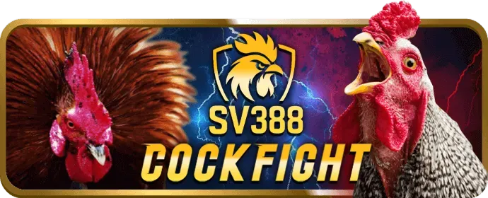 Cấp độ VIP Kim Cương VT88